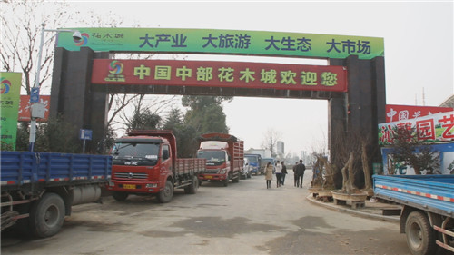 参观位于安徽省合肥市肥西县的中国中部花木城(三岗花木大市场)